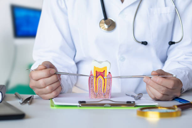 Best Emergency Gum Treatment in Jasmine Estates, FL